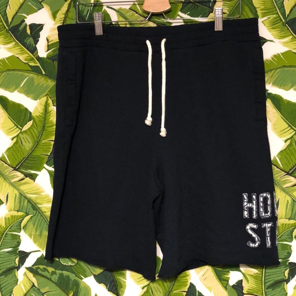 Hollister Other - NWOT HOLLISTER Mens Navy Blue Jogger Shorts XL